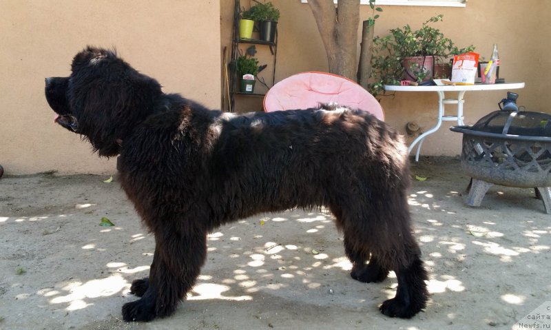 Фотография № 154259