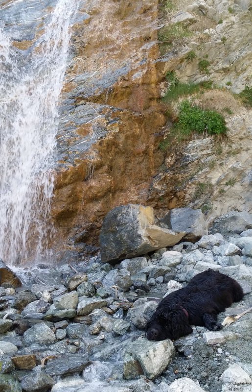 Фотография № 154262