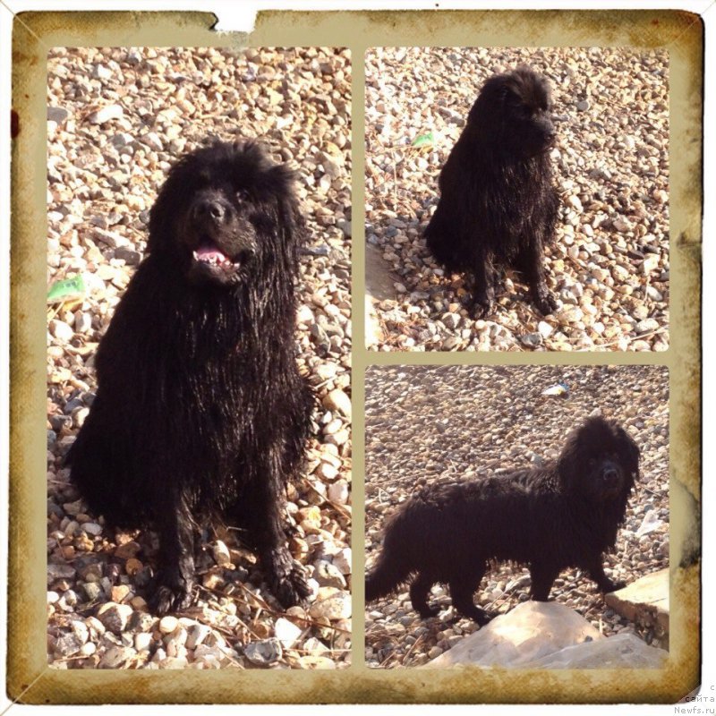 Фотография № 154263