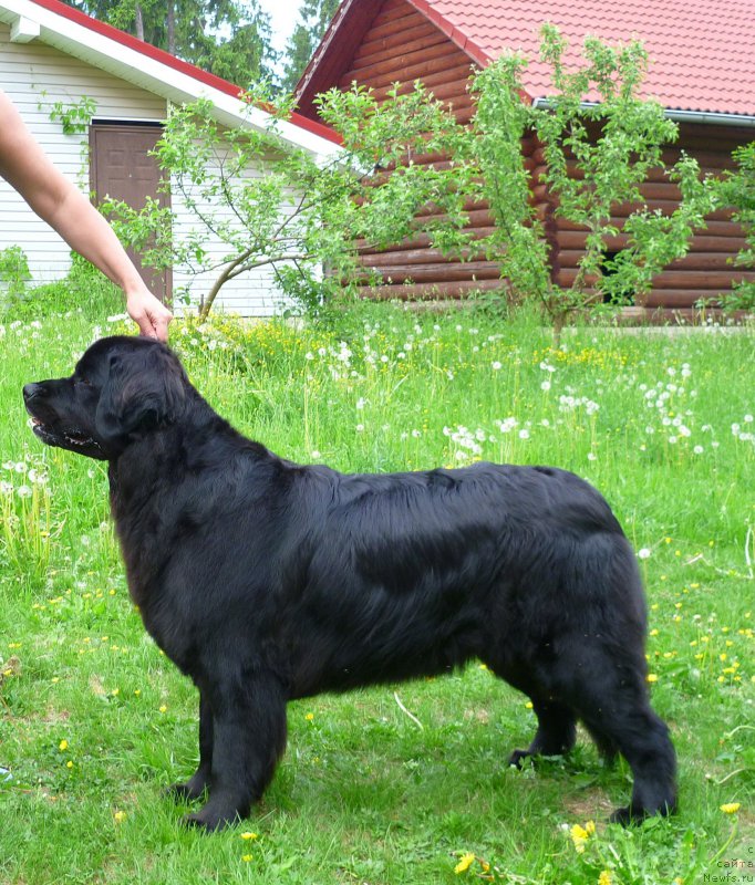 Фотография № 154277