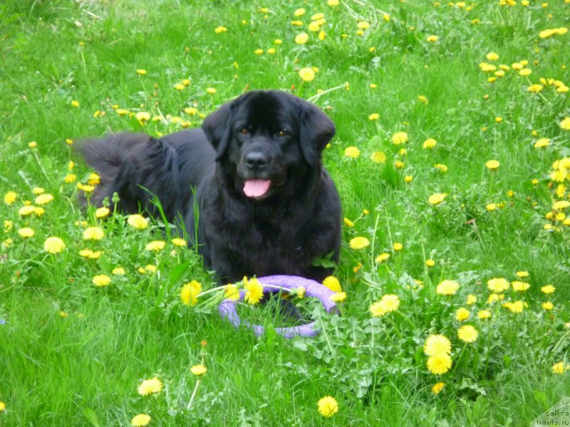 Фотография № 154279