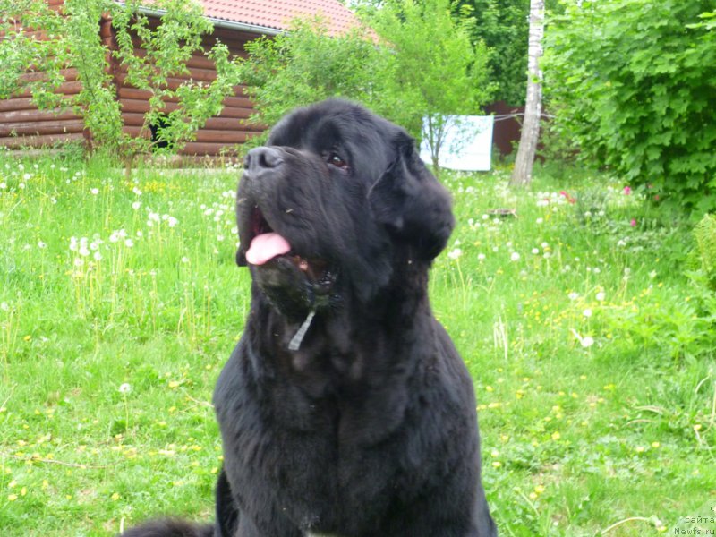 Фотография № 154282