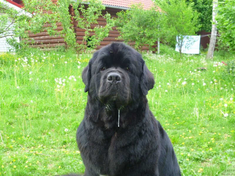 Фотография № 154283