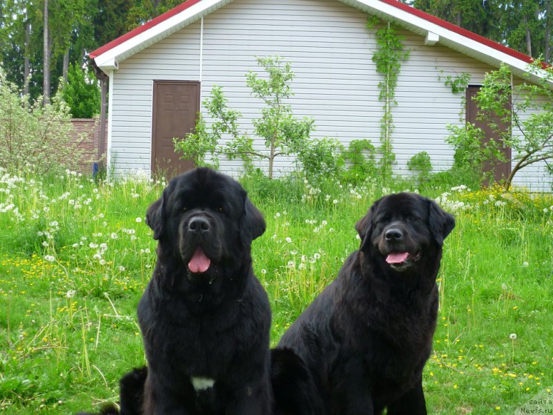 Фотография № 154285