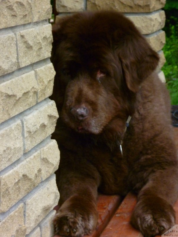 Фотография № 154286