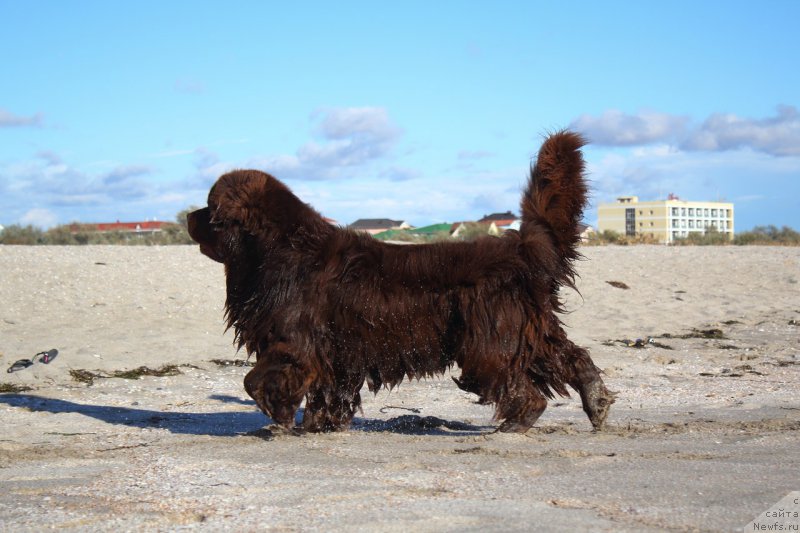 Фотография № 154292