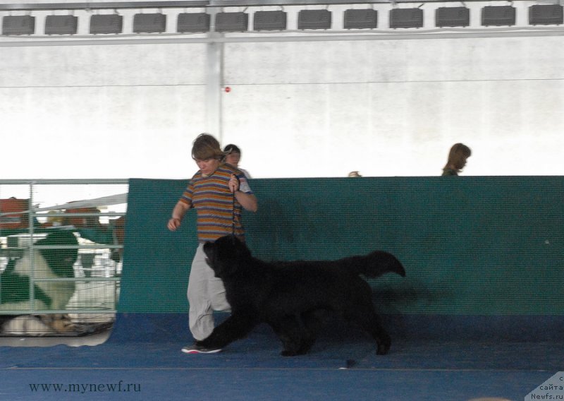 Фотография № 154301