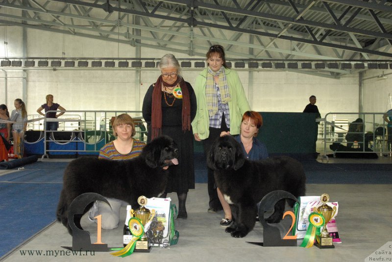 Фотография № 154306