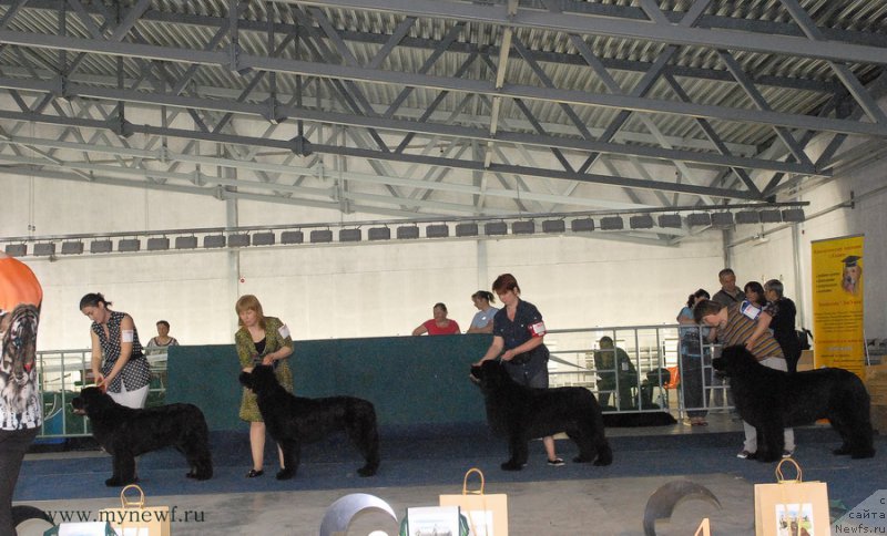 Фотография № 154337