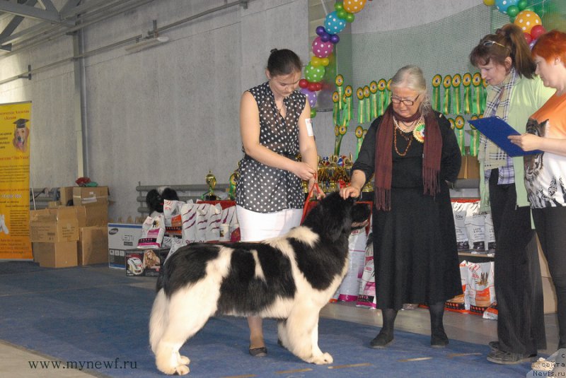 Фотография № 154384