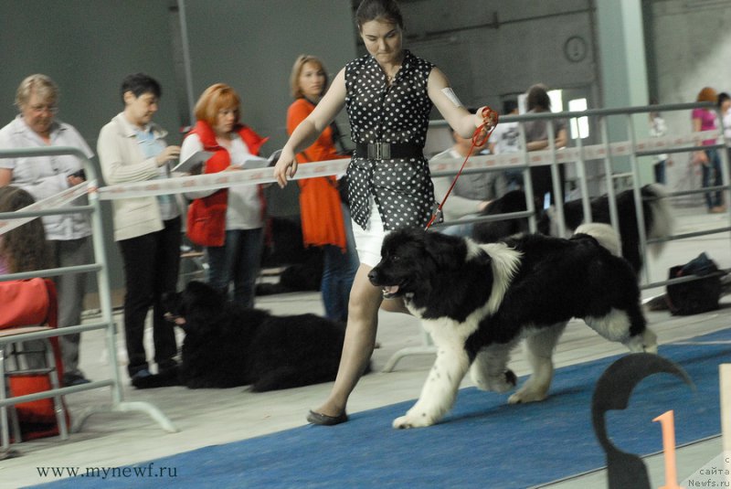 Фотография № 154387