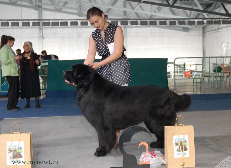 Фотография № 154457