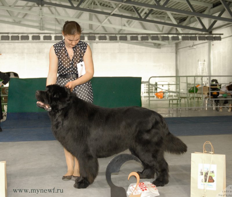 Фотография № 154458