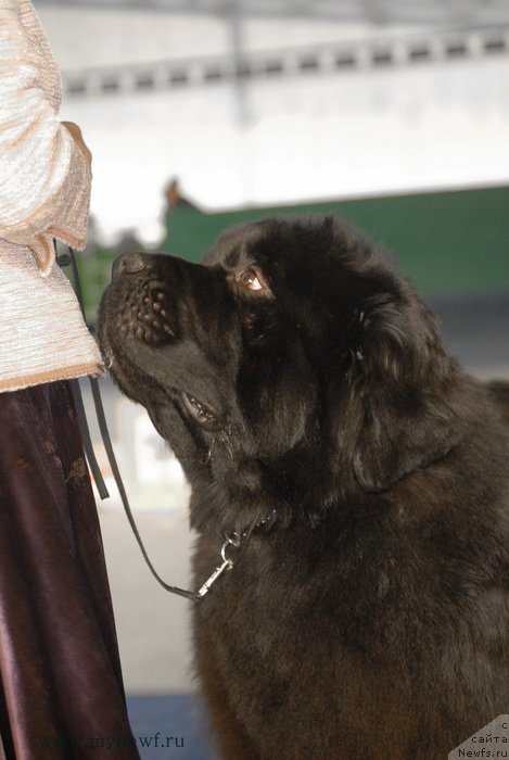 Фотография № 154480