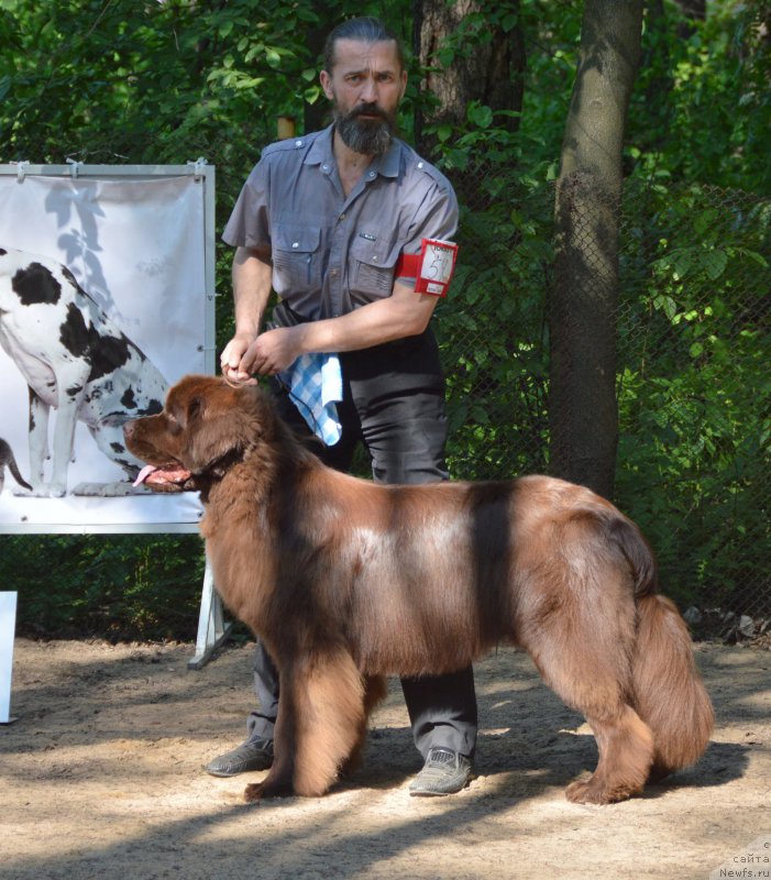 Фотография № 154556