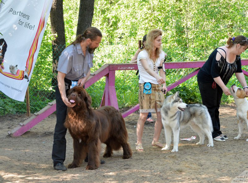 Фотография № 154557