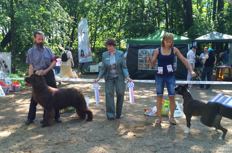 Фотография № 154558