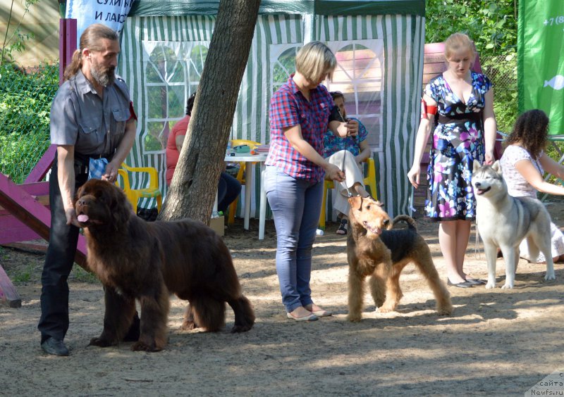 Фотография № 154559