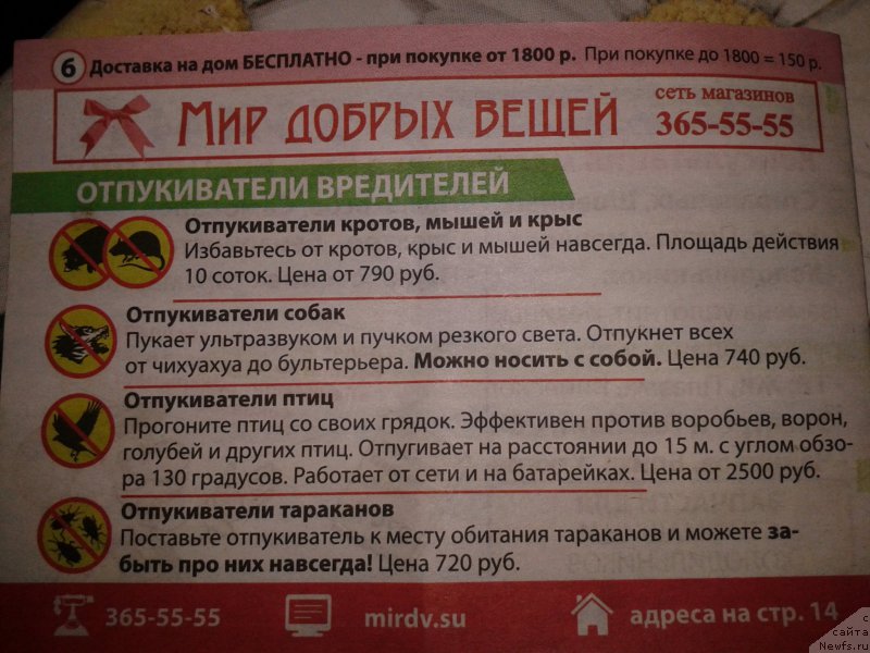 Фотография № 154568