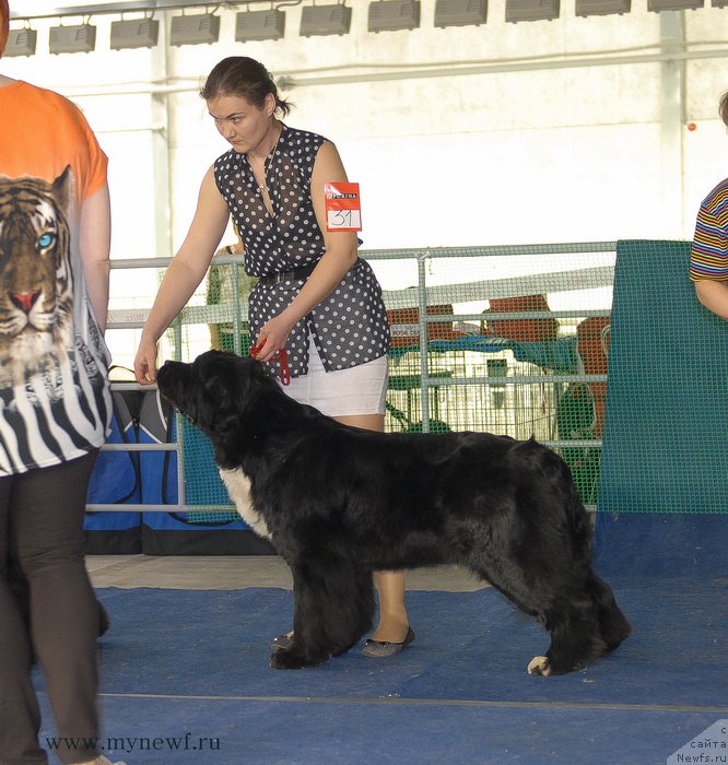 Фотография № 154606