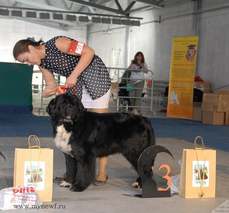 Фотография № 154611