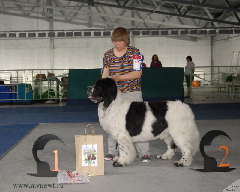 Фотография № 154683