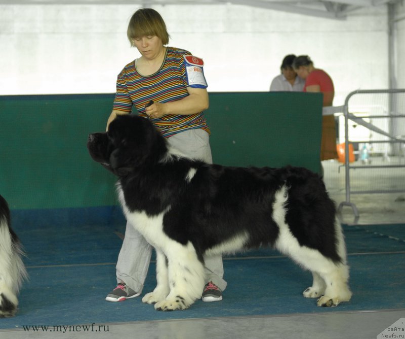 Фотография № 154691