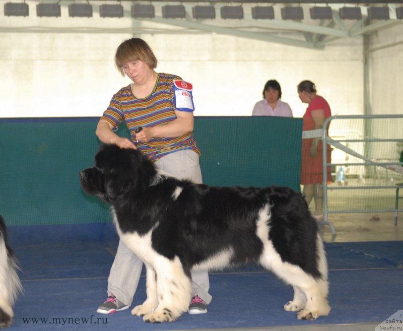 Фотография № 154692