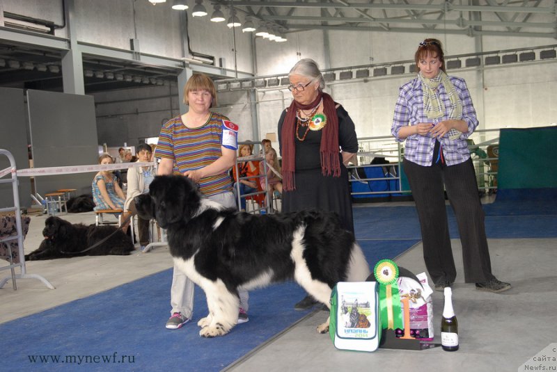 Фотография № 154698