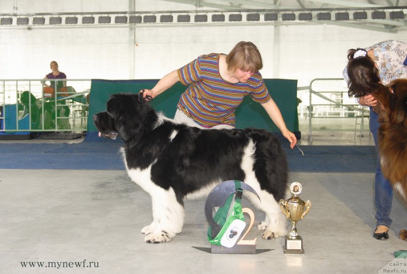 Фотография № 154853