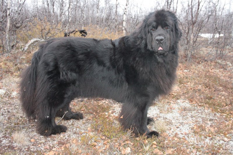 Фотография № 154910