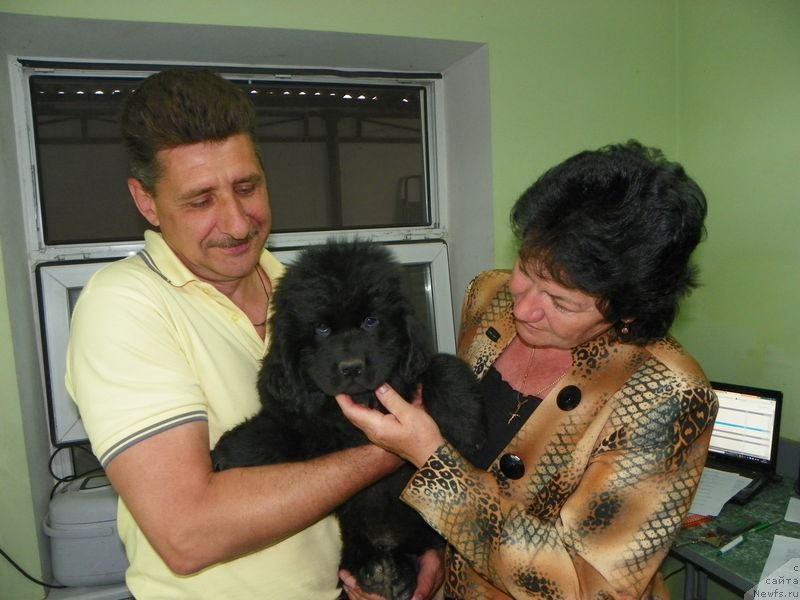 Фотография № 154918