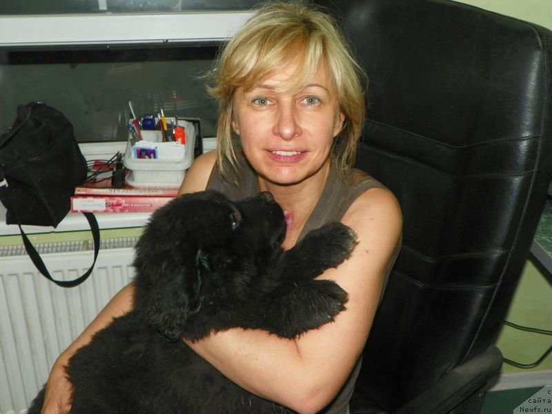 Фотография № 154919