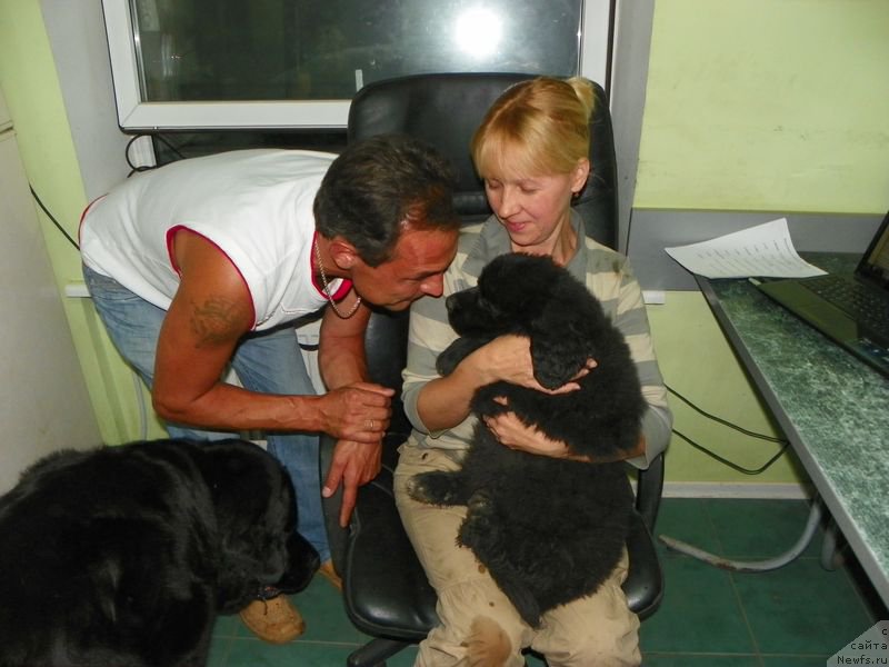 Фотография № 154920