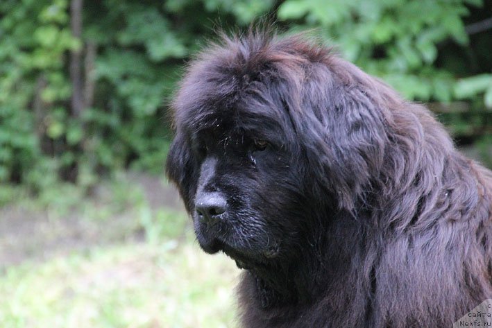 Фотография № 154926