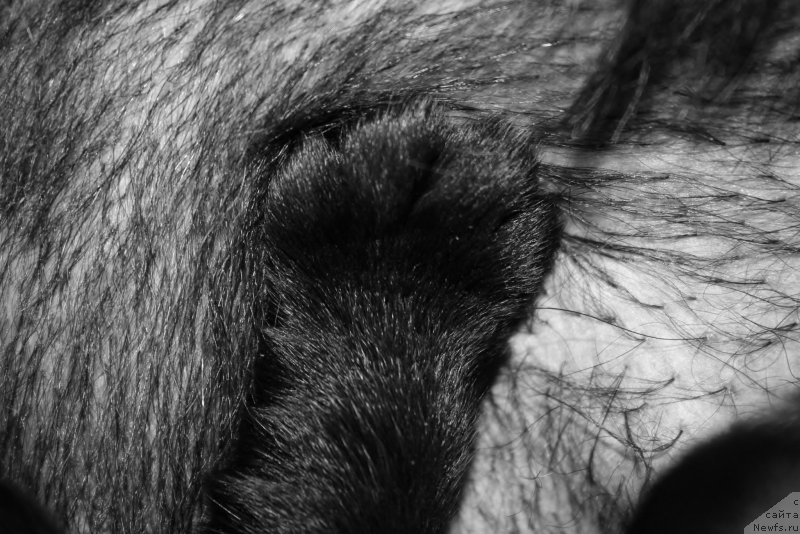 Фотография № 154931