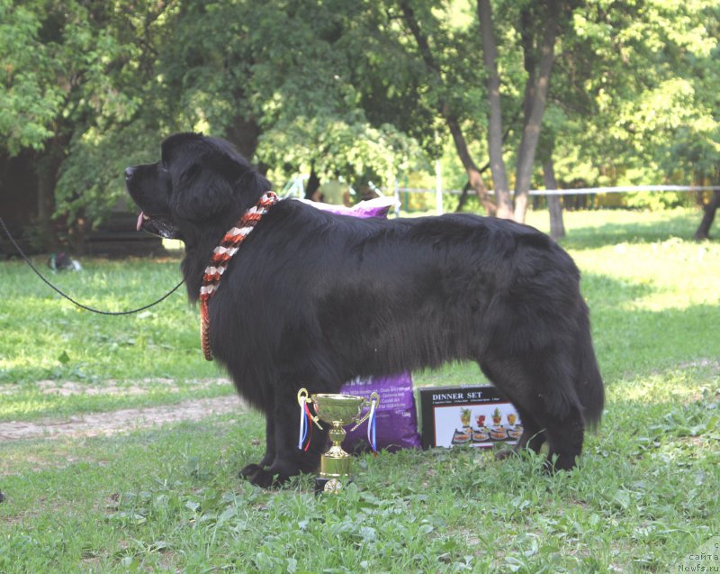 Фотография № 154961