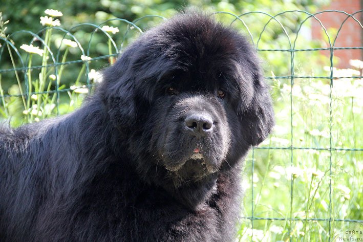 Фотография № 154973