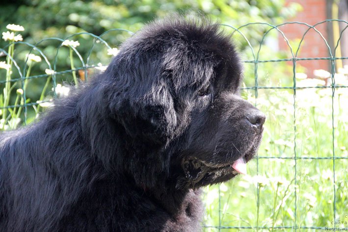 Фотография № 154974