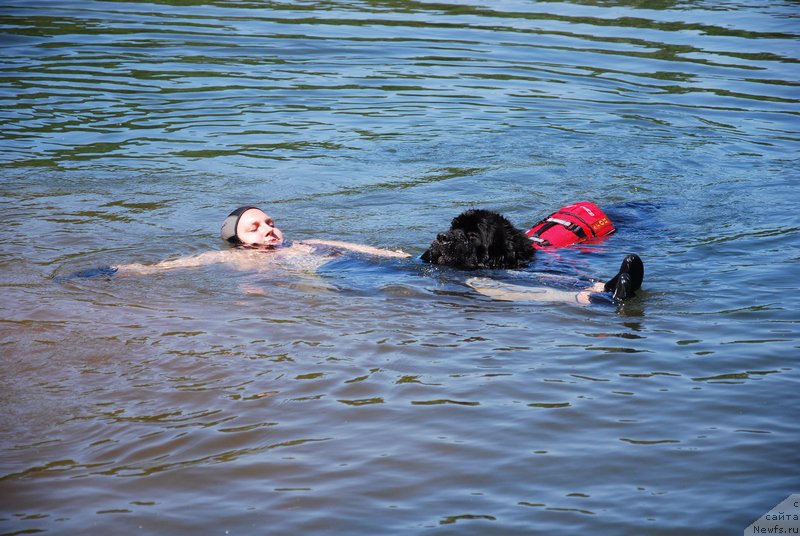 Фотография № 155015