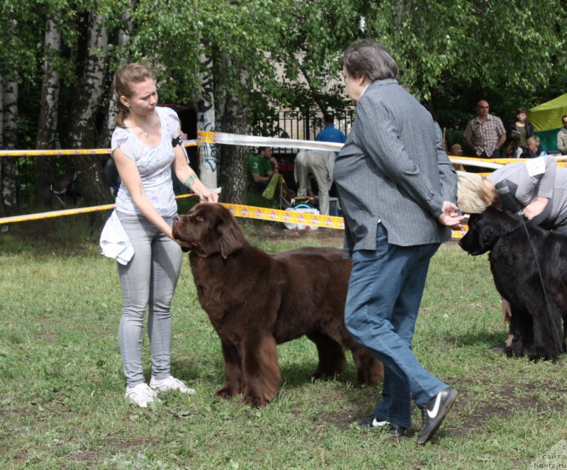 Фотография № 155019