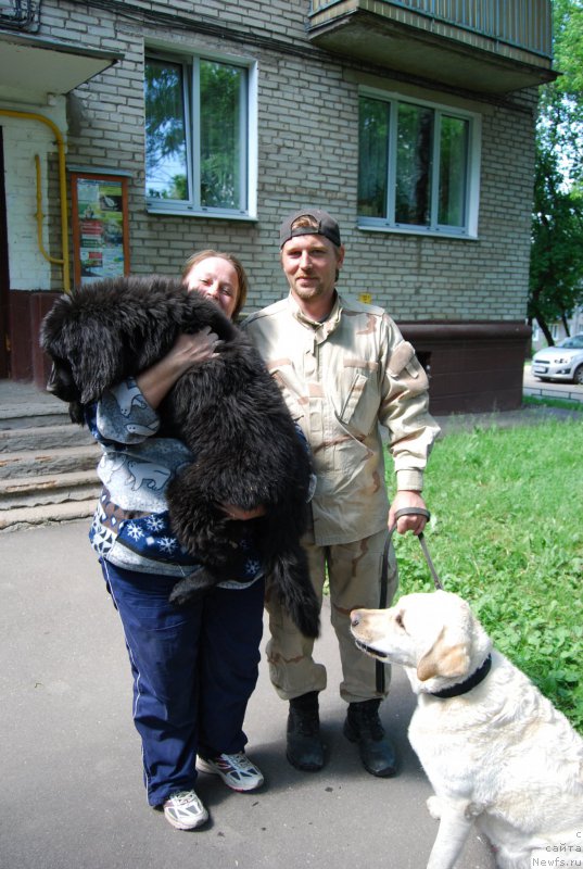 Фотография № 155023