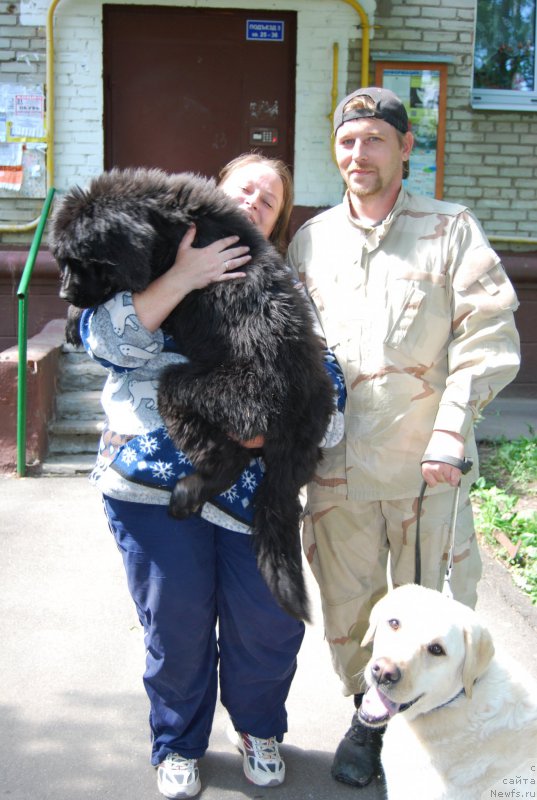 Фотография № 155024