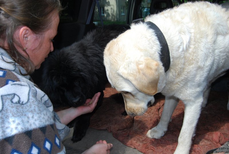 Фотография № 155025