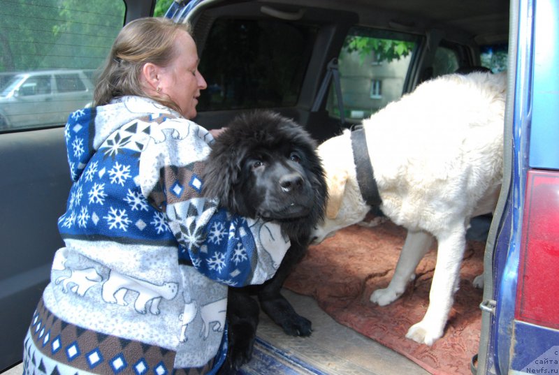 Фотография № 155026