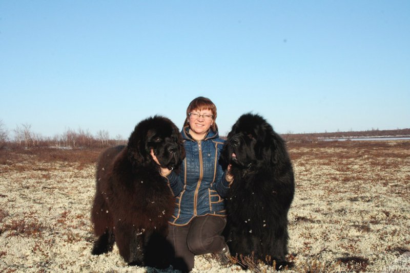 Фотография № 155033