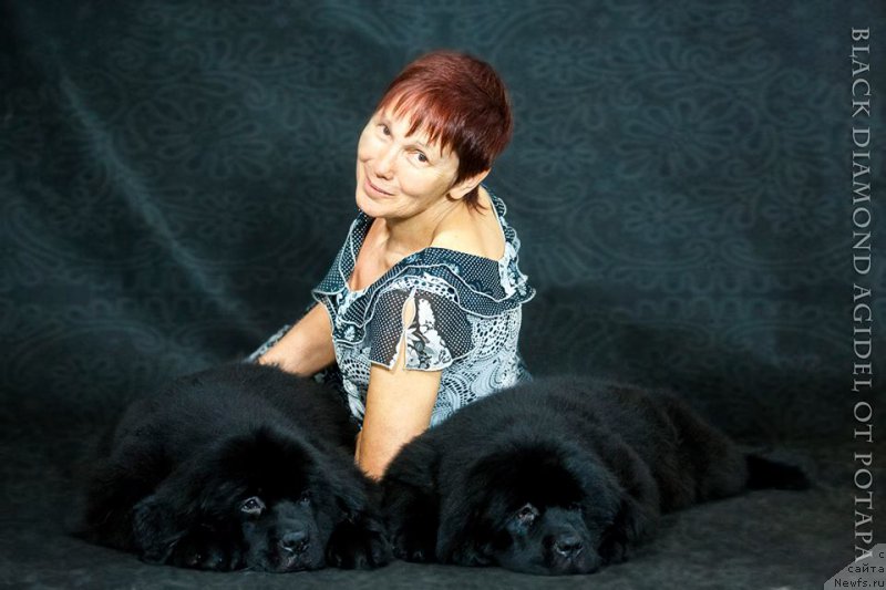 Фотография № 155063