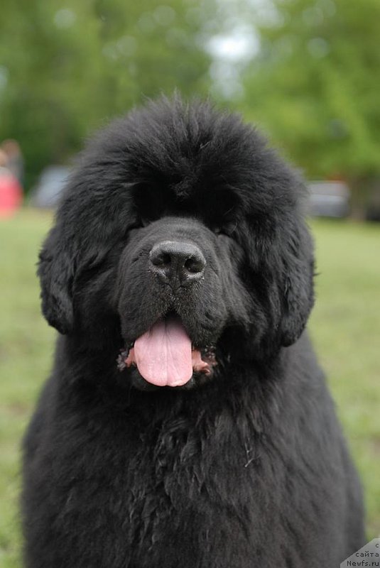 Фотография № 155101