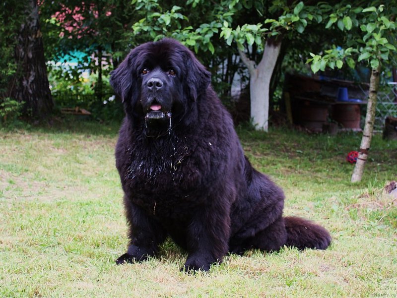 Фотография № 155128