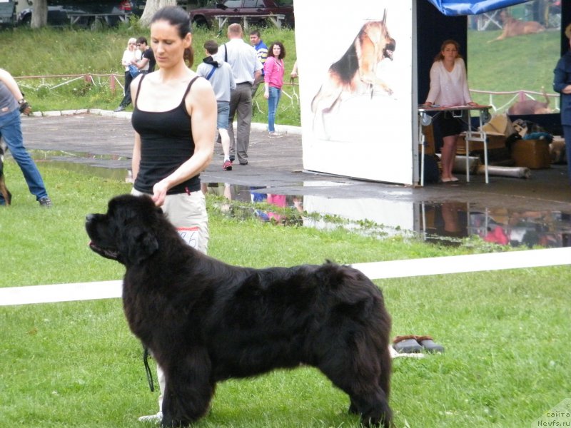 Фотография № 155130